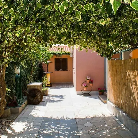 Arijana * ميدولين