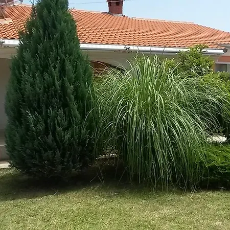 Apartment Arijana *